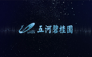 五河碧桂園建筑宣傳動畫制作